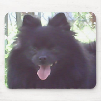 Black Pomeranian Mousepad Muismat