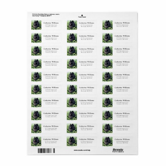 Black Pomeranian St. Patrick's Day Retouradres Etiket (Full Sheet)
