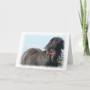 Black Pony Greeting Card Kaart
