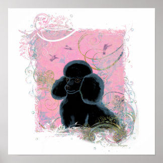 Black Poodle Hummingbird Swirls Art Invitation Poster