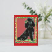 Black Poodle n Holly Cartes de Noël (Debout devant)