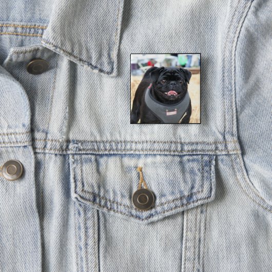 Black Pug Button (In situ)