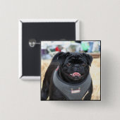 Black Pug Button (Voorkant /achterkant)