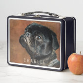 Black Pug Dog (In situ)