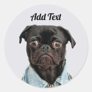 Black Pug Dog Add Text Ronde Sticker