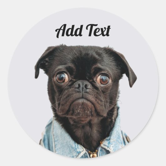 Black Pug Dog Add Text Ronde Sticker (Voorkant)