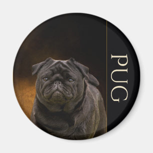 Black Pug Fridge Magnet Magneet