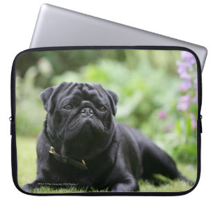 Black Pug Laing Down Laptop Sleeve