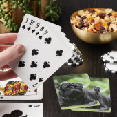 Black Pug Laing Down Pokerkaarten (Insitu)