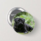 Black Pug Laing Down Ronde Button 5,7 Cm (Voorkant /achterkant)