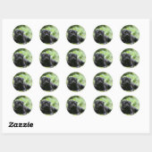 Black Pug Laing Down Ronde Sticker (Vel)