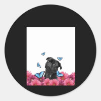 Black Pug met blauwe vlinders en gerberas
