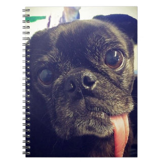 Black Pug Notitieboek