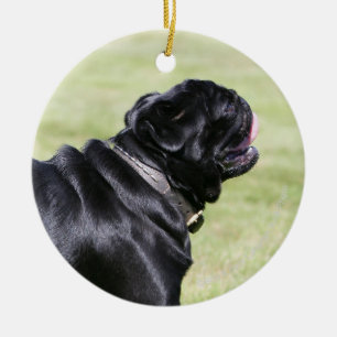 Black Pug Panting tijdens het lopen Keramisch Ornament