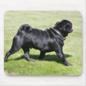 Black Pug Panting tijdens het lopen Muismat (Voorkant)