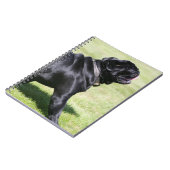 Black Pug Panting tijdens het lopen Notitieboek (Linkerzijde)