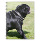 Black Pug Panting tijdens het lopen Notitieboek (Voorkant)
