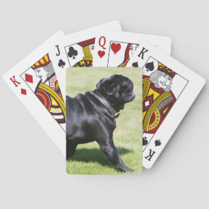 Black Pug Panting tijdens het lopen Pokerkaarten