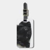 Black Pug Puppy Bagagelabel (Voorkant verticaal)