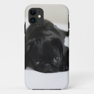 Black Pug Puppy iPhone 11 Hoesje