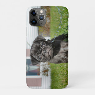 Black Pug puppy iPhone 11 Pro Hoesje