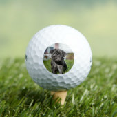 Black Pug puppy Golfballen (Insitu Shirt)