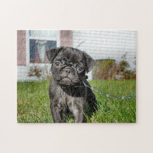 Black Pug puppy Legpuzzel (Horizontaal)