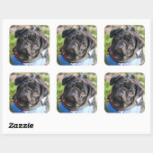 Black Pug Puppy met jas Vierkante Sticker (Vel)