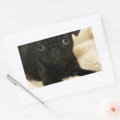 Black Pug Puppy Rechthoekige Sticker (Envelop)