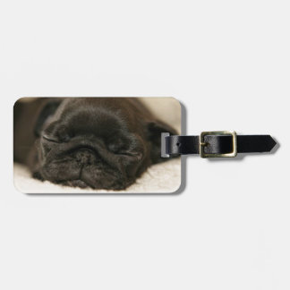 Black Pug Puppy Slaping Bagagelabel
