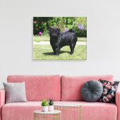 Black Pug Standing View Camera Canvas Afdruk (Insitu (Woonkamer))