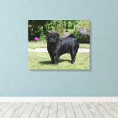 Black Pug Standing View Camera Canvas Afdruk (Insitu (Houten vloer))