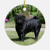 Black Pug Standing View Camera Keramisch Ornament (Achterkant)