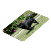 Black Pug Standing View Camera Magneet (Linkerzijde)