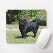 Black Pug Standing View Camera Muismat (Met muis)