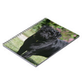 Black Pug Standing View Camera Notitieboek (Linkerzijde)