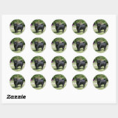 Black Pug Standing View Camera Ronde Sticker (Vel)