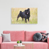 Black Pug Stikking Out Tounge Canvas Afdruk (Insitu (Woonkamer))