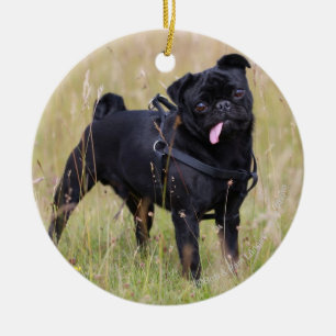 Black Pug Stikking Out Tounge Keramisch Ornament