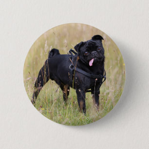 Black Pug Stikking Out Tounge Ronde Button 5,7 Cm