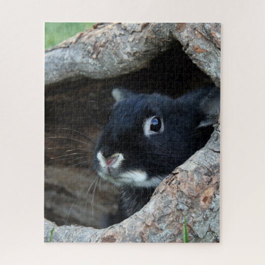 Black Rabbit in Hollow of a Tree Photo Legpuzzel (Verticaal)