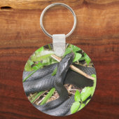 Black Racer Snake Sunning Sleutelhanger (Voorkant)
