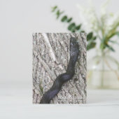 Black Rat Snake Briefkaart (Staand voorkant)