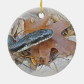 Black Rat Snake - Elaphe obsoleta obsoleta Keramisch Ornament (Achterkant)