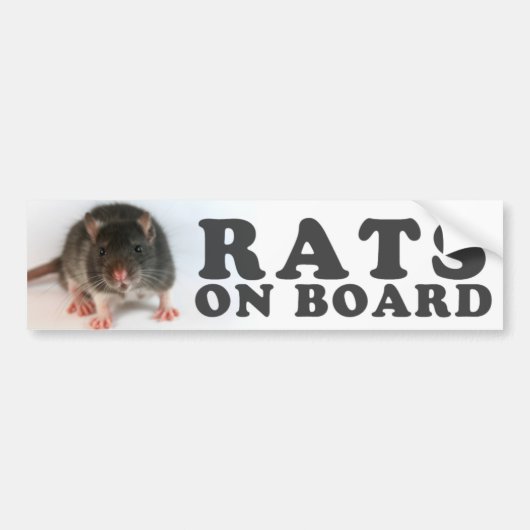(Black) Rats on board Bumpersticker (Voorkant)