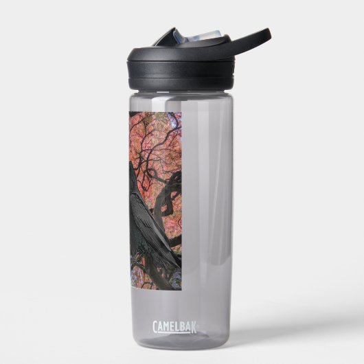 Black Raven and Gnarly Japanese Maple Waterfles (Links)