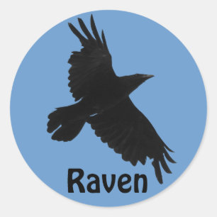 Black Raven Birdlover's Wildlife Sticker