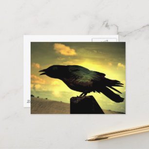 Black Raven Briefkaart