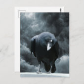 Black Raven Briefkaart (Voorkant / Achterkant)