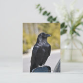 Black Raven - briefkaart (Staand voorkant)